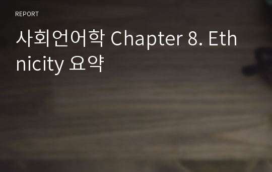 사회언어학 Chapter 8. Ethnicity 요약