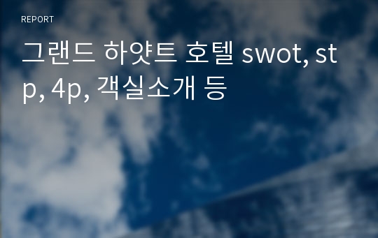 그랜드 하얏트 호텔 swot, stp, 4p, 객실소개 등