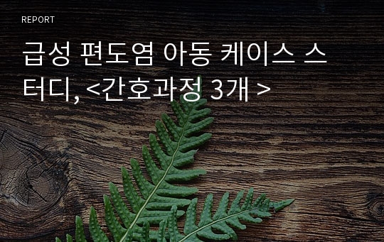 급성 편도염 아동 케이스 스터디, &lt;간호과정 3개 &gt;