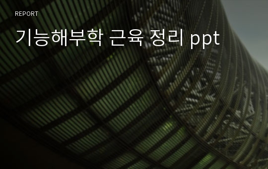 기능해부학 근육 정리 ppt