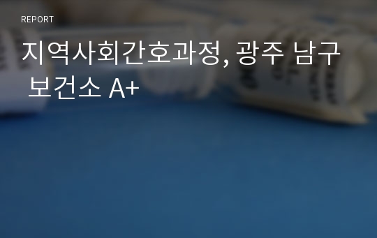 지역사회간호과정, 광주 남구 보건소 A+