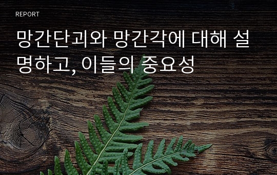 망간단괴와 망간각에 대해 설명하고, 이들의 중요성