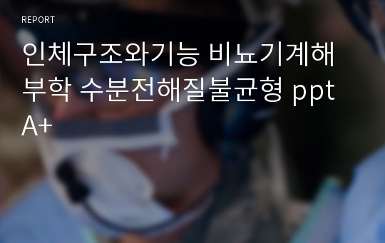 인체구조와기능 비뇨기계해부학 수분전해질불균형 ppt A+