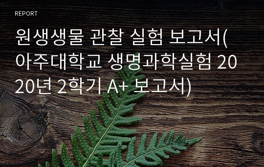 원생생물 관찰 실험 보고서(아주대학교 생명과학실험 A+ 보고서)