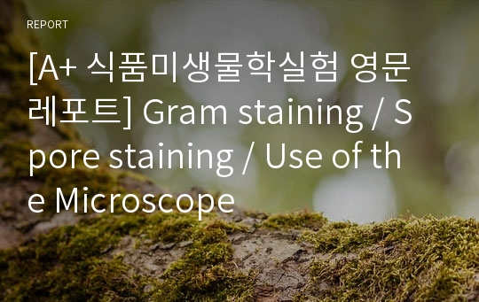 [A+ 식품미생물학실험 영문레포트] Gram staining / Spore staining / Use of the Microscope