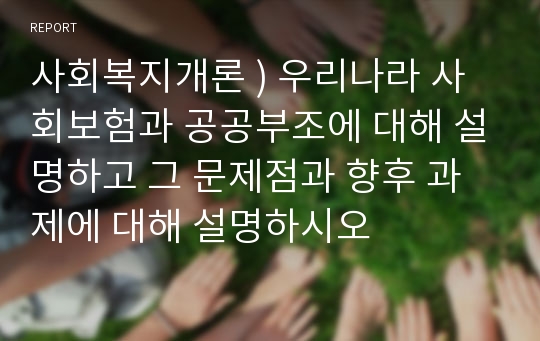 사회복지개론 ) 우리나라 사회보험과 공공부조에 대해 설명하고 그 문제점과 향후 과제에 대해 설명하시오