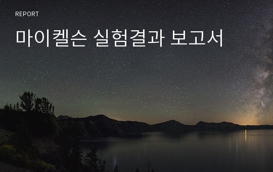 마이켈슨 실험결과 보고서