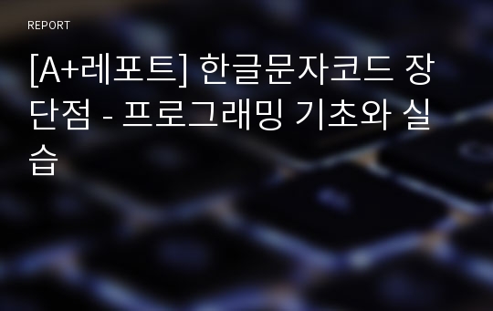 [A+레포트] 한글문자코드 장단점 - 프로그래밍 기초와 실습