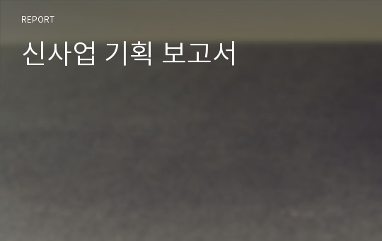 신사업 기획 보고서