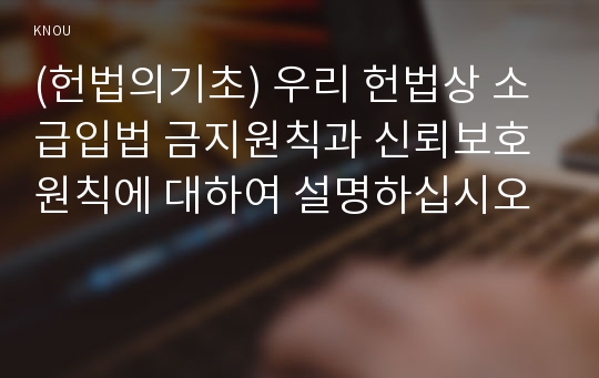 (헌법의기초) 우리 헌법상 소급입법 금지원칙과 신뢰보호원칙에 대하여 설명하십시오