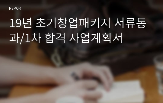 19년 초기창업패키지 서류통과/1차 합격 사업계획서