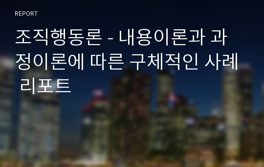 조직행동론 - 내용이론과 과정이론에 따른 구체적인 사례 리포트