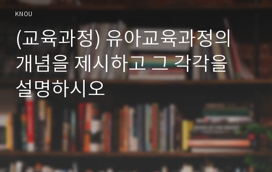 (교육과정) 유아교육과정의 개념을 제시하고 그 각각을 설명하시오