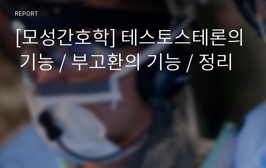 [모성간호학] 테스토스테론의 기능 / 부고환의 기능 / 정리