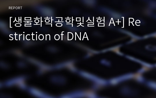 [생물화학공학및실험 A+] Restriction of DNA