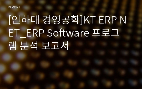 [인하대 경영공학]KT ERP NET_ERP Software 프로그램 분석 보고서