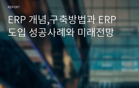 ERP 개념,구축방법과 ERP 도입 성공사례와 미래전망