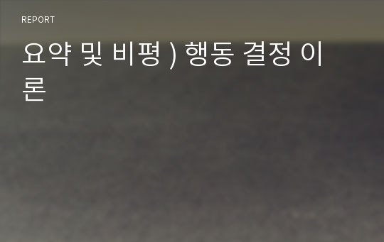 요약 및 비평 ) 행동 결정 이론