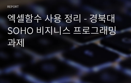 엑셀함수 사용 정리 - 경북대 SOHO 비지니스 프로그래밍 과제