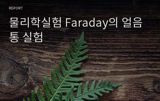 물리학실험 Faraday의 얼음통 실험