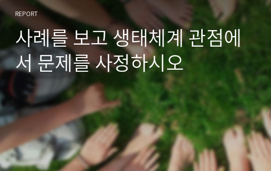 사례를 보고 생태체계 관점에서 문제를 사정하시오