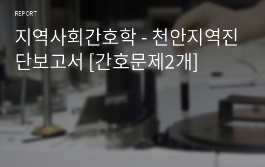지역사회간호학 - 천안지역진단보고서 [간호문제2개]