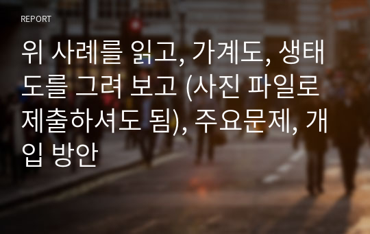 위 사례를 읽고, 가계도, 생태도를 그려 보고 (사진 파일로 제출하셔도 됨), 주요문제, 개입 방안