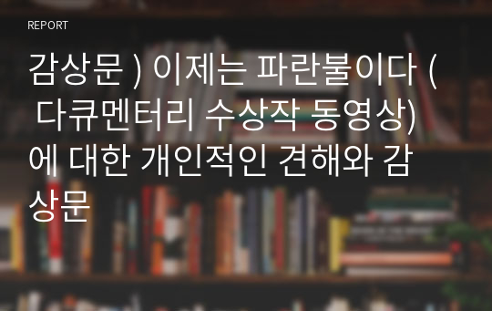 감상문 ) 이제는 파란불이다 ( 다큐멘터리 수상작 동영상) 에 대한 개인적인 견해와 감상문