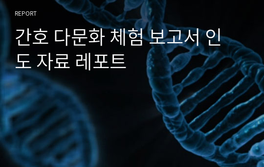 간호 다문화 체험 보고서 인도 자료 레포트