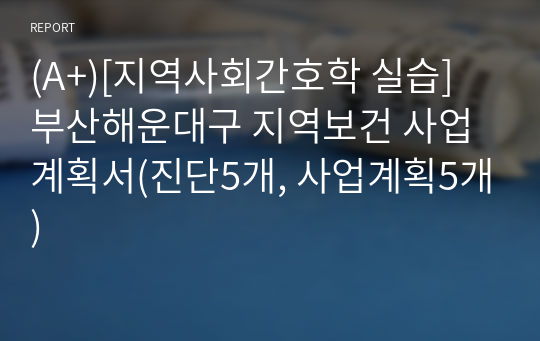 (A+)[지역사회간호학 실습] 부산해운대구 지역보건 사업계획서(진단5개, 사업계획5개)