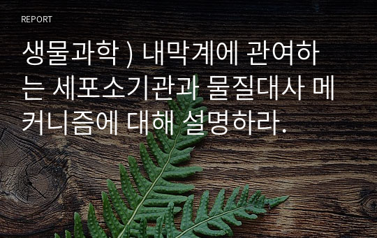 생물 과학 ) 내막계에 관여하는 세포소기관과 물질대사 메커니즘에 대해 설명하시오.