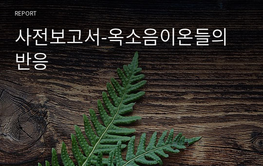 사전보고서-옥소음이온들의 반응