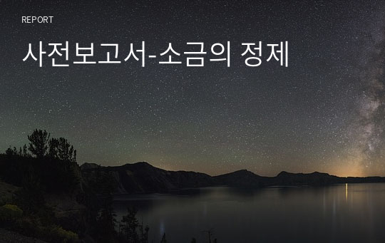 사전보고서-소금의 정제