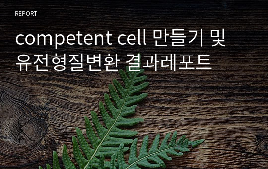 competent cell 만들기 및 유전형질변환 결과레포트