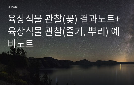 육상식물 관찰(꽃) 결과노트+육상식물 관찰(줄기, 뿌리) 예비노트