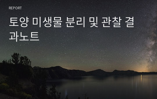 토양 미생물 분리 및 관찰 결과노트