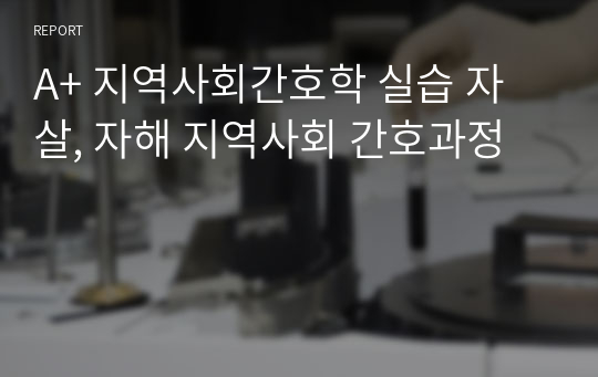 A+ 지역사회간호학 실습 자살, 자해 지역사회 간호과정