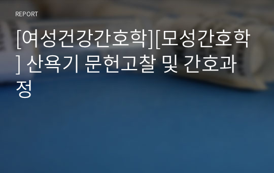 [여성건강간호학][모성간호학] 산욕기 문헌고찰 및 간호과정