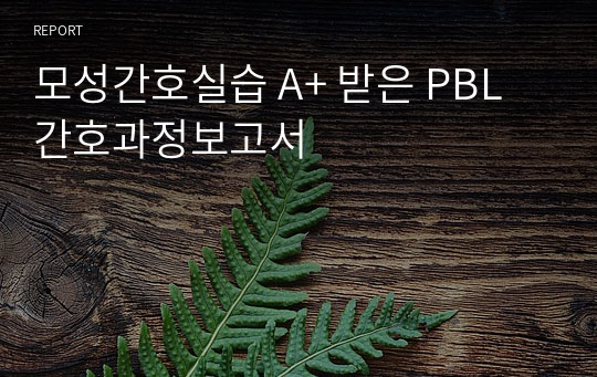 모성간호실습 A+ 받은 PBL 간호과정보고서