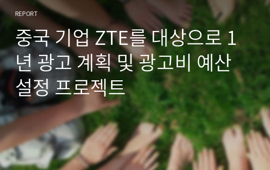 중국 기업 ZTE를 대상으로 1년 광고 계획 및 광고비 예산 설정 프로젝트