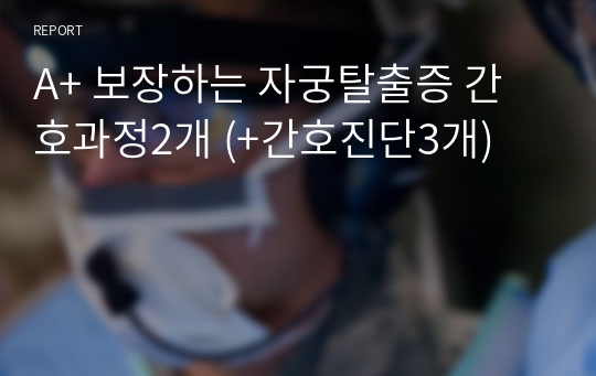 A+ 보장하는 자궁탈출증 간호과정2개 (+간호진단3개)