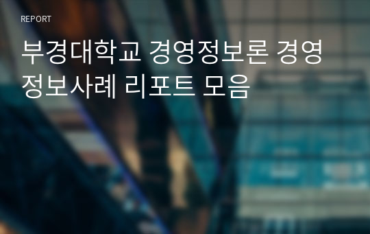 부경대학교 경영정보론 경영정보사례 리포트 모음