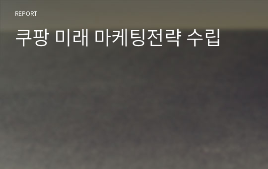 쿠팡 미래 마케팅전략 수립