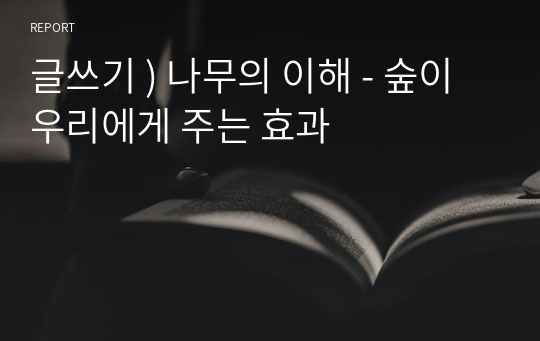 글쓰기 ) 나무의 이해 - 숲이 우리에게 주는 효과