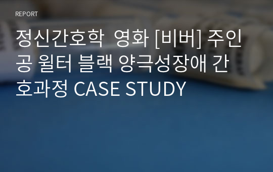 정신간호학  영화 [비버] 주인공 윌터 블랙 양극성장애 간호과정 CASE STUDY