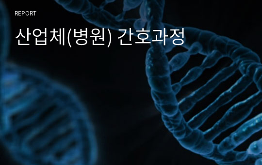 산업체(병원) 간호과정