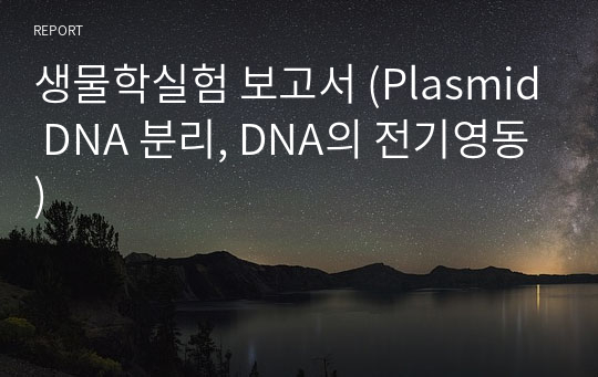 생물학실험 보고서 (Plasmid DNA 분리, DNA의 전기영동)