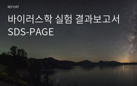 바이러스학 실험 결과보고서 SDS-PAGE