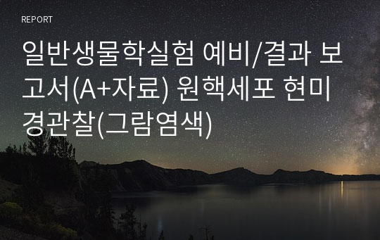 일반생물학실험 예비/결과 보고서(A+자료) 원핵세포 현미경관찰(그람염색)