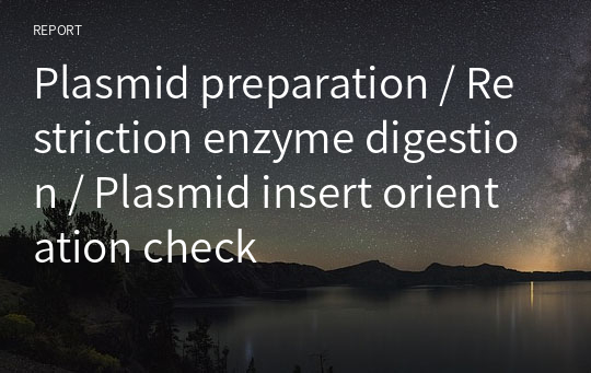Plasmid preparation / Restriction enzyme digestion / Plasmid insert orientation check